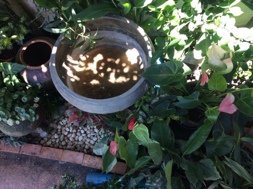 Sister House Chiangmai (Adults Only) Bed and Breakfast Chiang Mai Exteriör bild